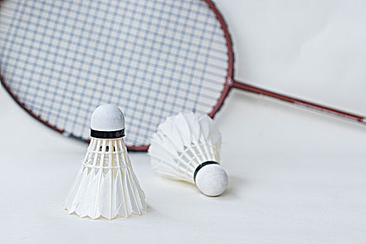 重返赛场 重返赛场