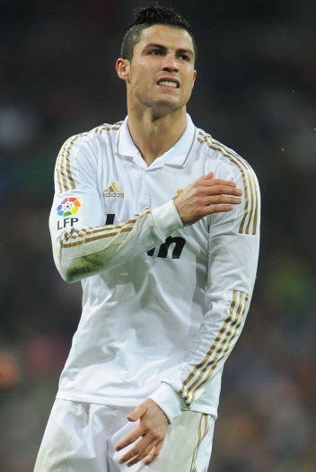 的判断力是 的判断力是