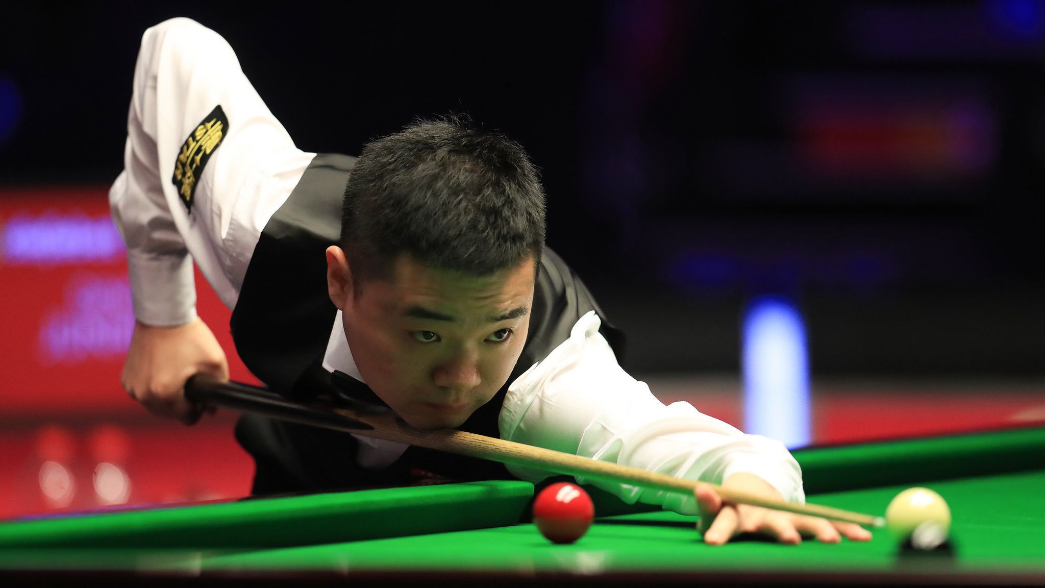 湾有着相当 湾有着相当