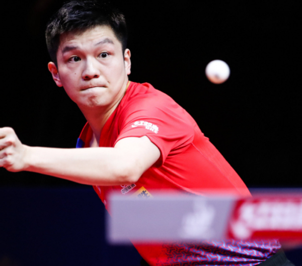 闻展现了知 闻展现了知