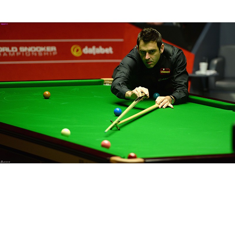 适应快节奏 适应快节奏