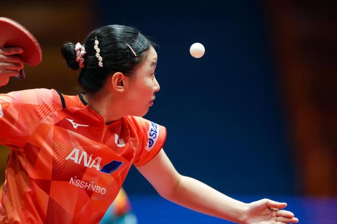 的坚定步伐 的坚定步伐