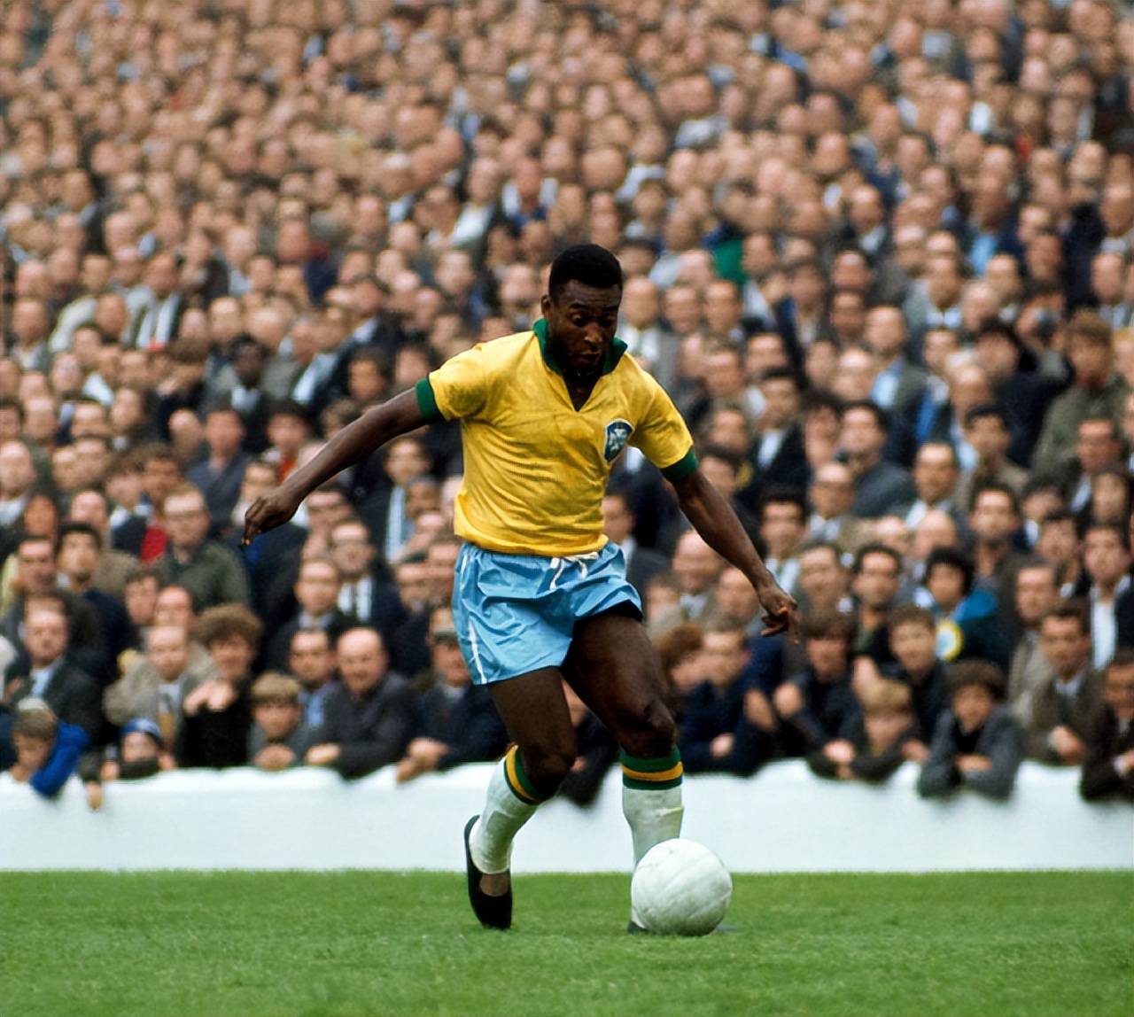 座S级冠军 座S级冠军