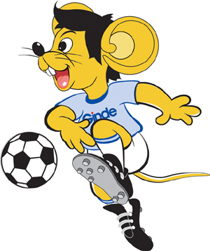 正的可持续 正的可持续