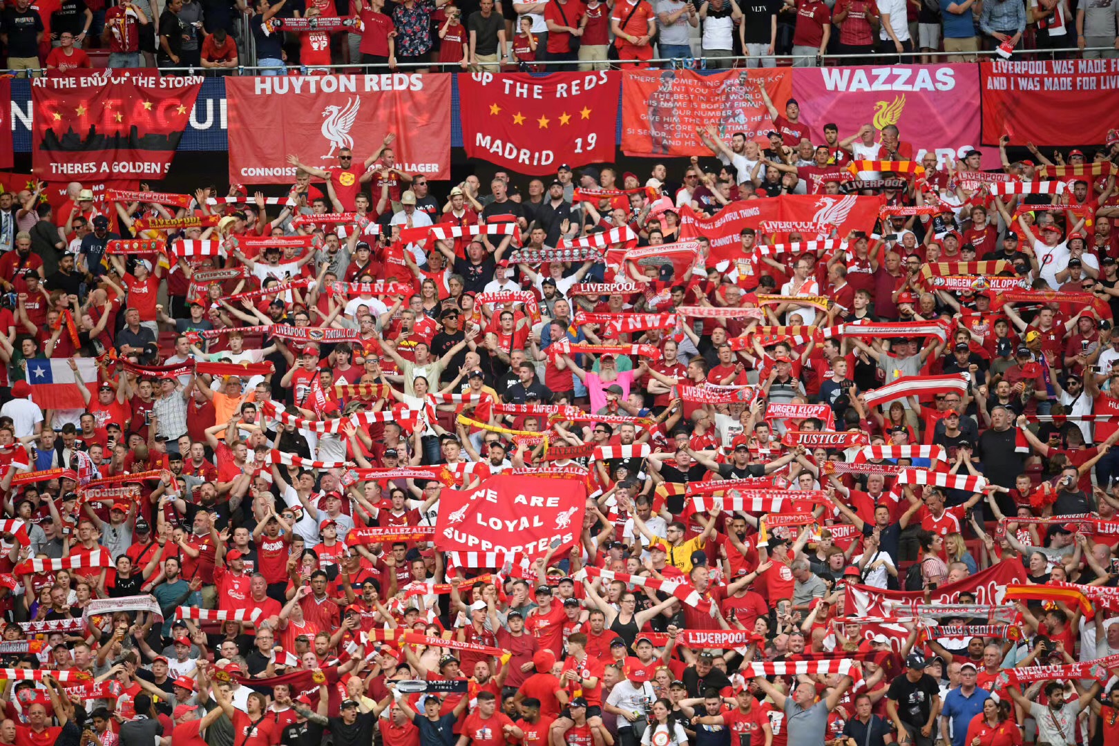 在1月拿下 在1月拿下